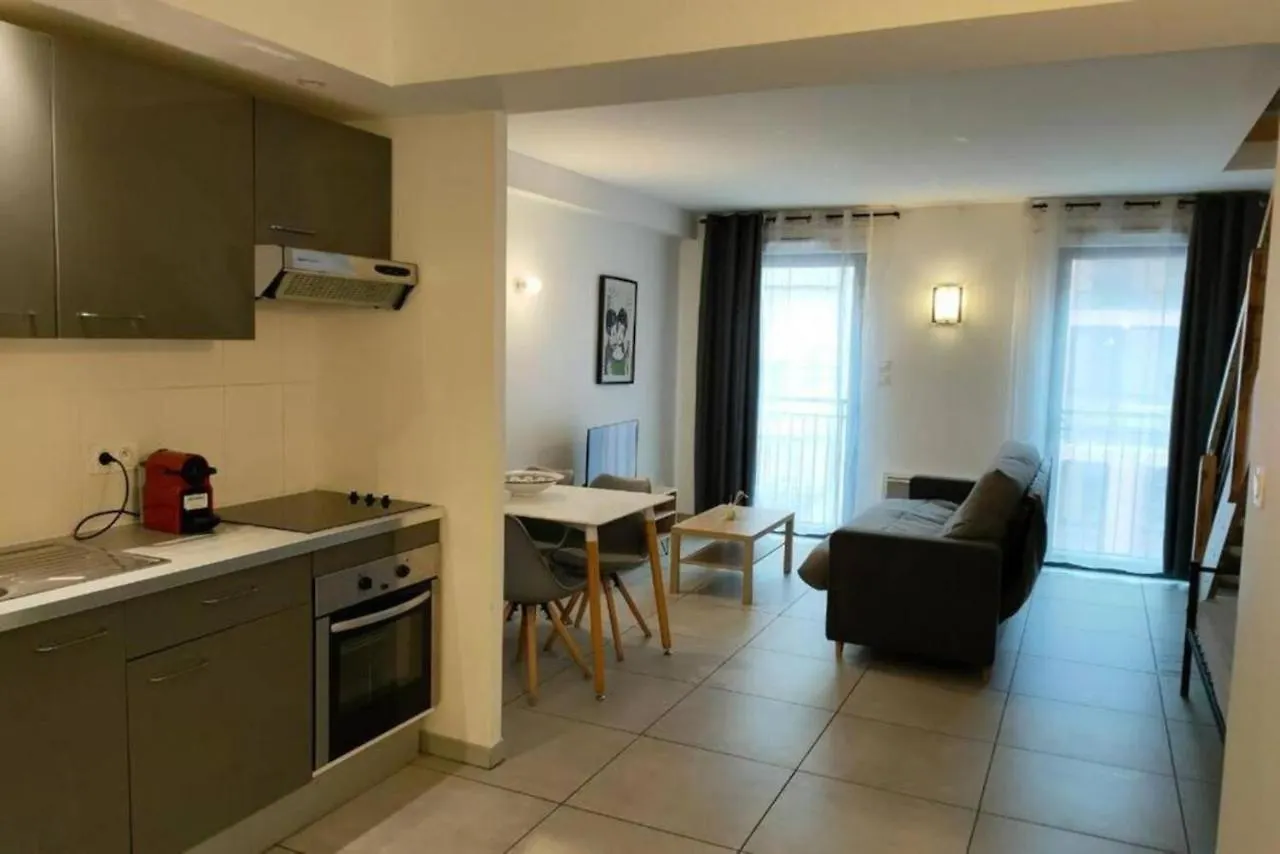 203 Duplex Jeanne D'Arc Apartment Toulouse